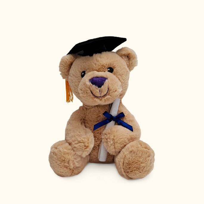A plush graduation bear toy.