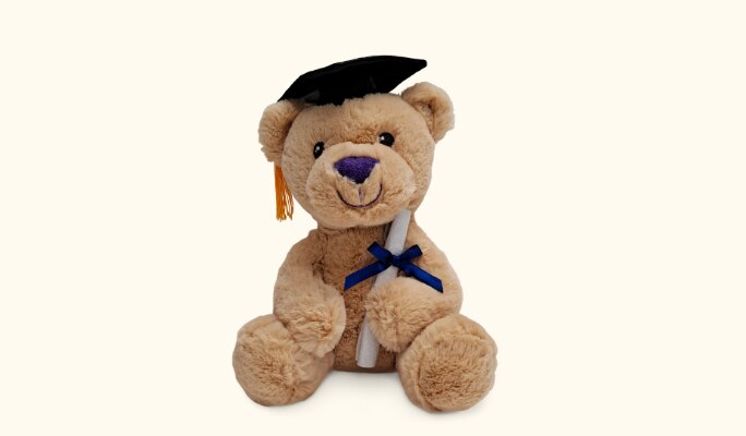 A plush graduation bear toy.
