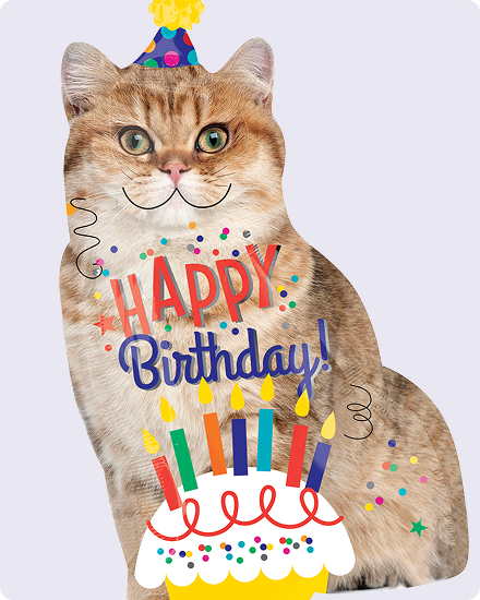 An inflatable cat wearing a birthday hat balloon with the words 'Happy Birthday' on the front. 