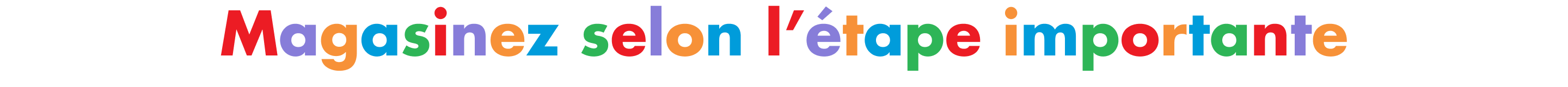 Une bannière multicolore dotée de la phrase « Magasinez selon la fête ».