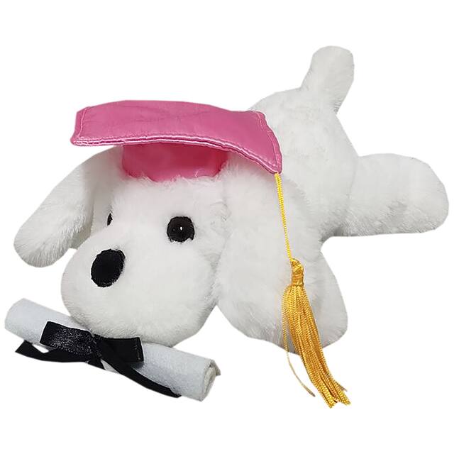 Peluche de chien, remise de diplômes, blanc/rose, 8,5 po Front_Three_Fourths_Angled_Left