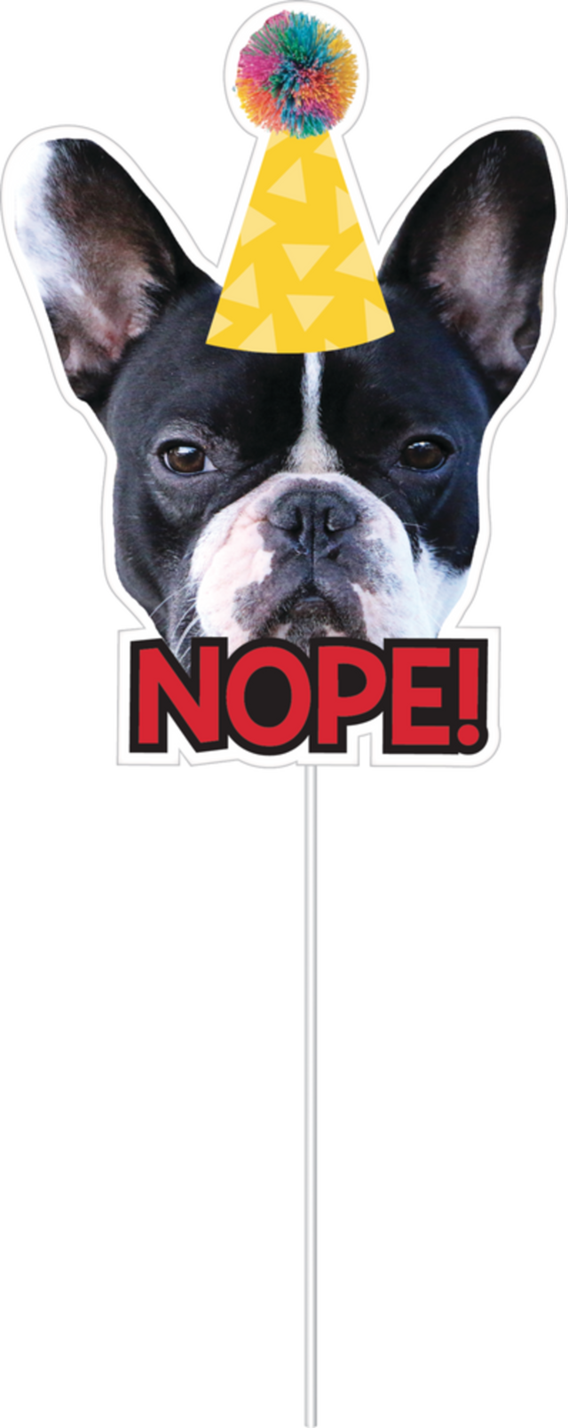 Over the Hill Photo Booth Props, 13pc Canadian Tire