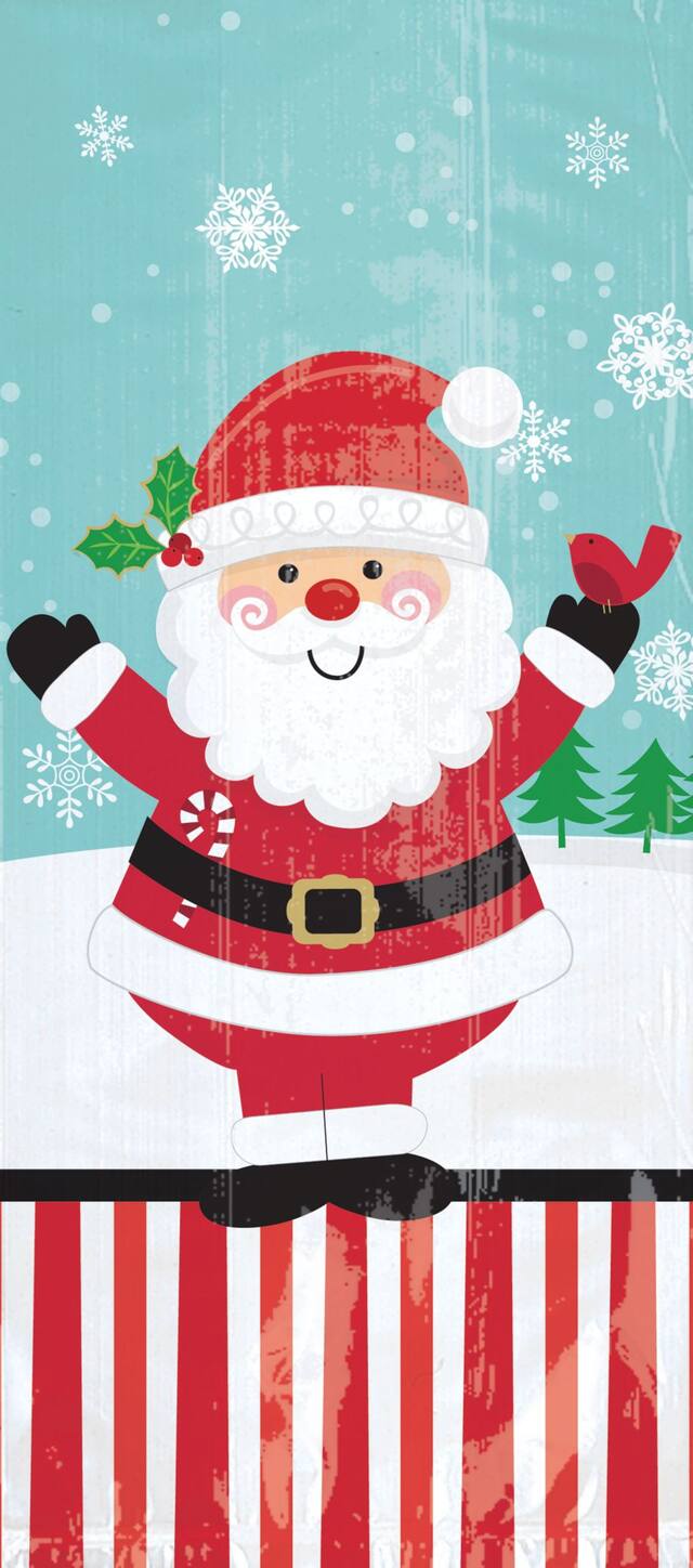 Sacs à friandises père Noël jovial, paq. 20 Overhead_Flat