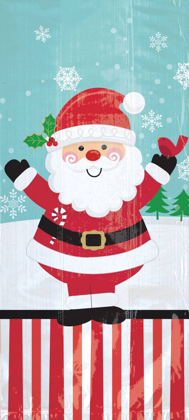 Sacs à gâteries père Noël jovial, grand, paq. 20 Overhead_Flat