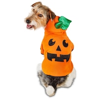 Bootique Pumpkin Dog/Pet Costume Hoodie, Assorted Sizes, Orange