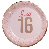 Blush Birthday 'Sweet 16' Round Paper Disposable Lunch Plates, Blush, 9-in, 16-pk, for Birthday Party Overhead_Flat