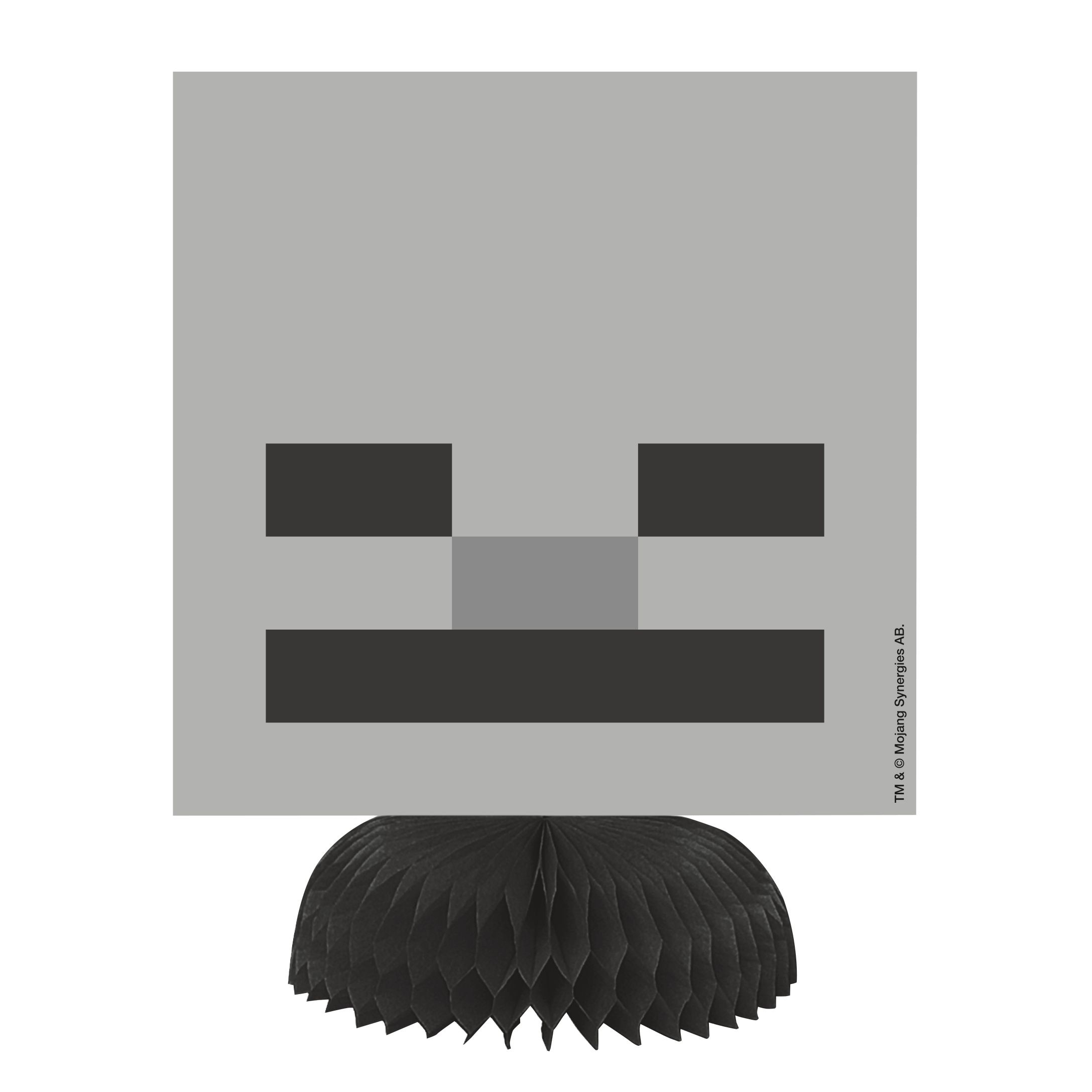 Décorations Minecraft, paq. 5 Front_Flat