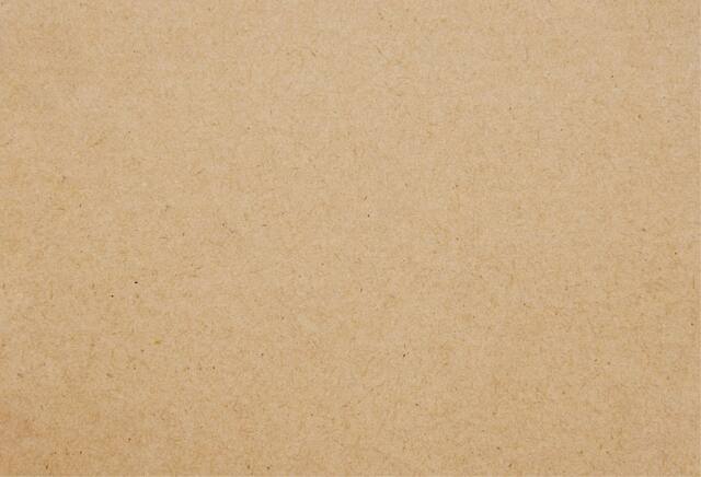 Sully Disposable Paper Placemat, Taupe, 12.5-in, 50-pk Overhead_Flat