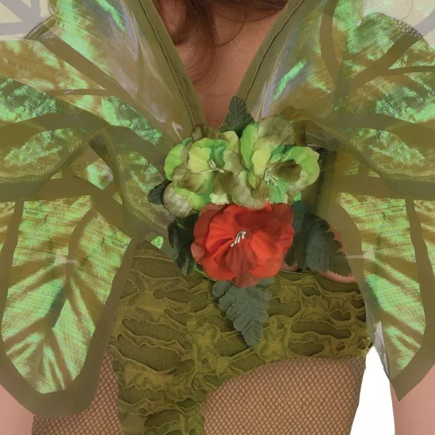 Woodland Fairy Mesh Wings, Green, One Size, Wearable Costume Accessory for Halloween CloseUp