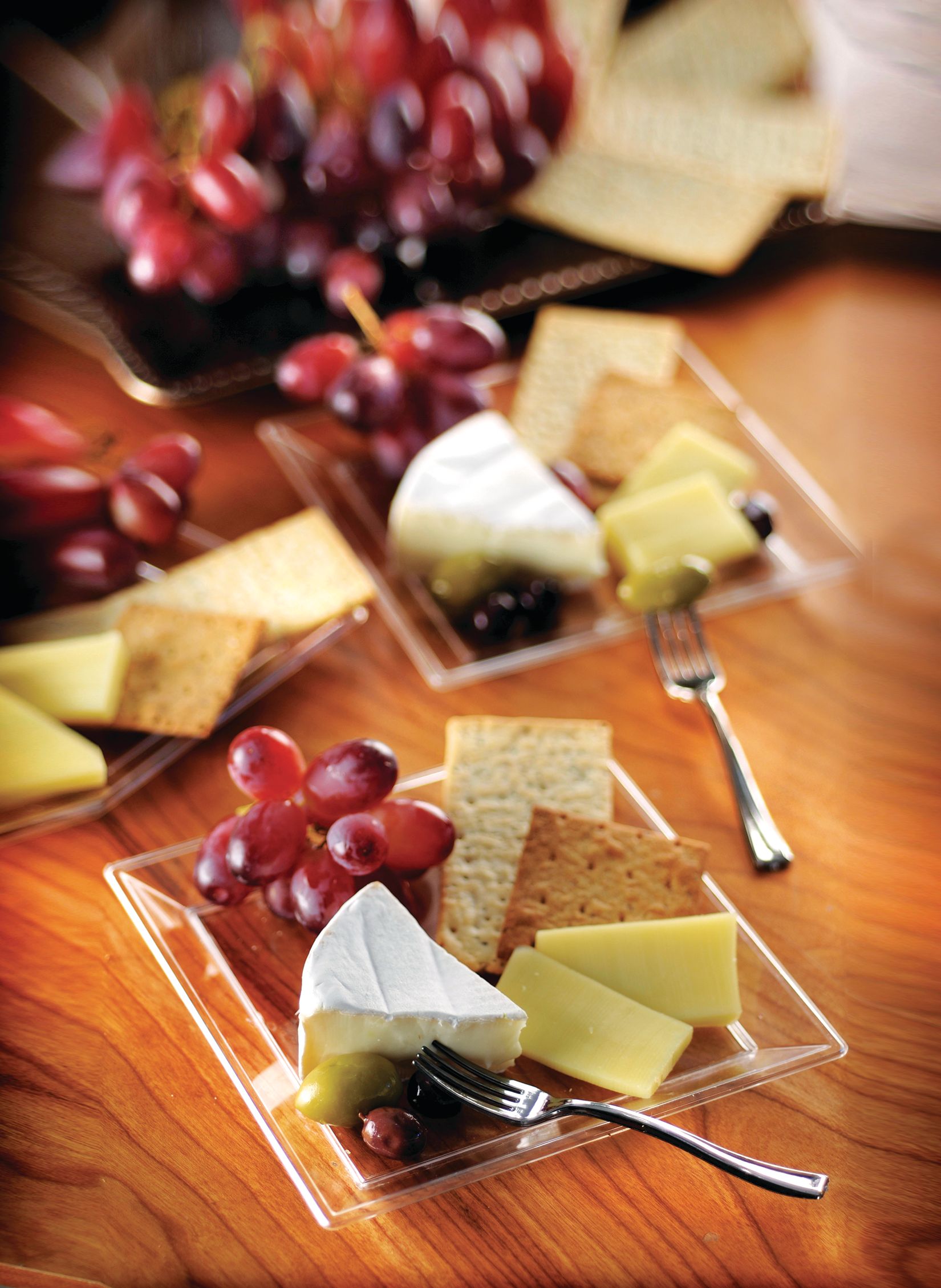 Clear Plastic Appetizer Plates, 10-pk Composite_or_Mixed