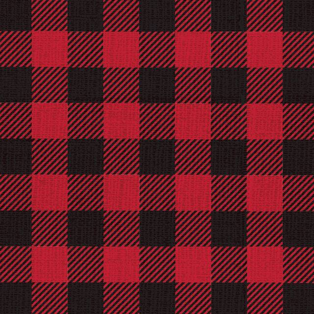 Buffalo Plaid 2-Ply Napkins, 16-pk Overhead_Flat