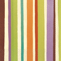 Serviettes à boissons à rayures créatives Front_Flat