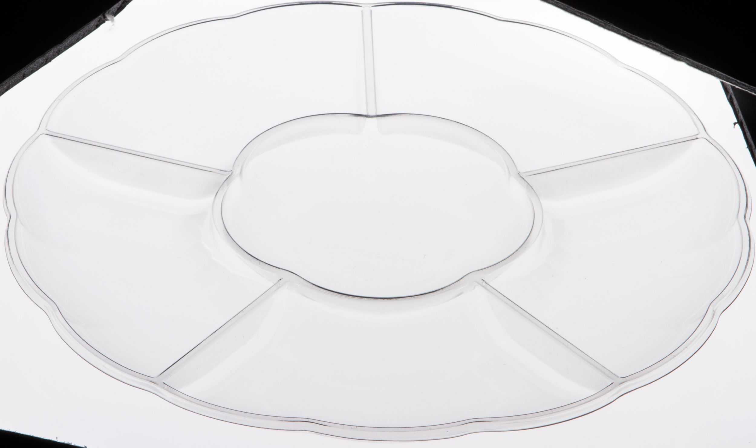 Clear Plastic Compartment Tray Overhead_Plunge