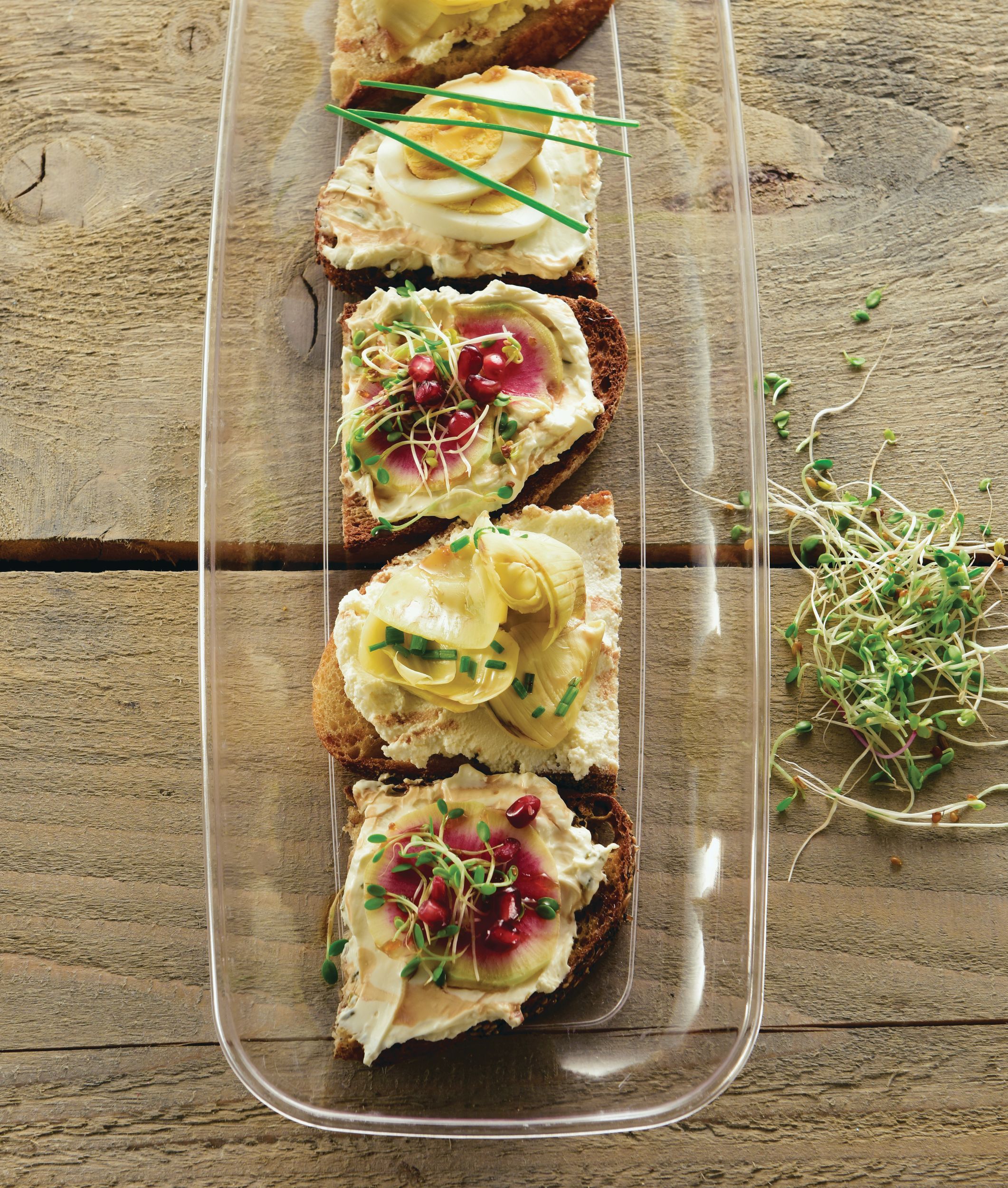 Clear Plastic Long Rectangular Platter CloseUp