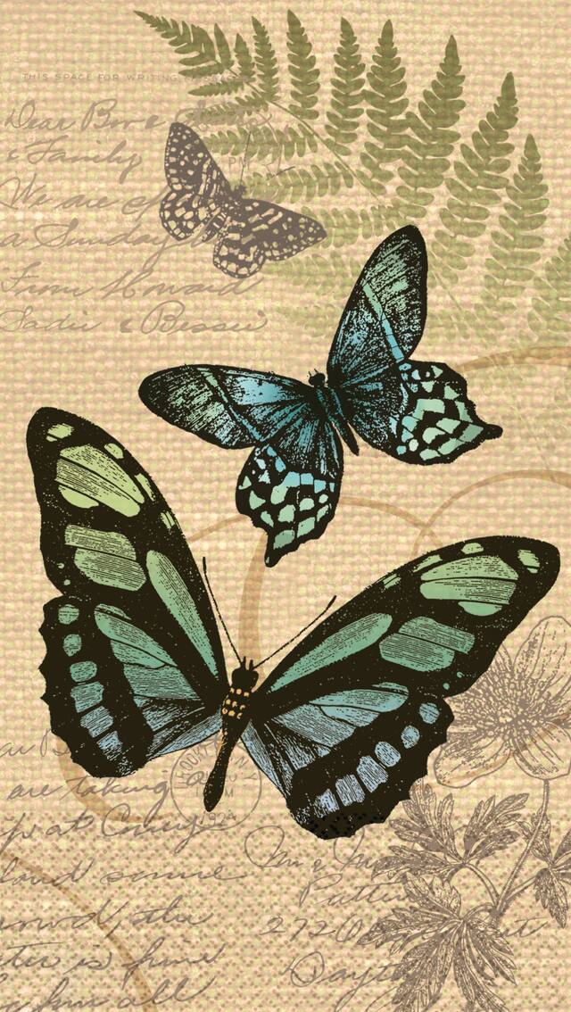 Butterfly Eco Guest Towels, 16-pk CloseUp