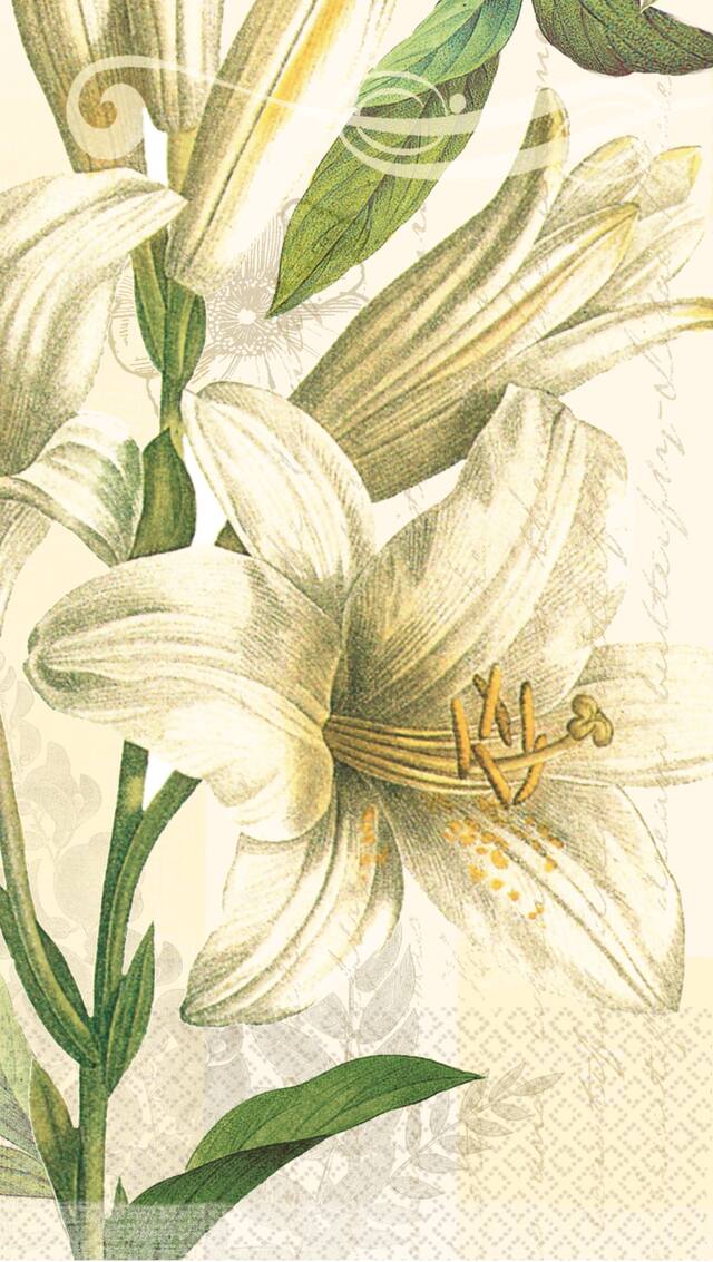 White Lilies Eco Guest Towels, 16-pk CloseUp