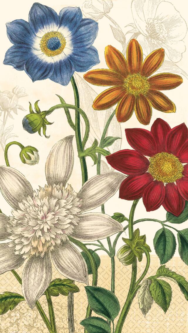 Essuie-mains d'invité écologiques de jardin rétro, paq. 16 Overhead_Flat