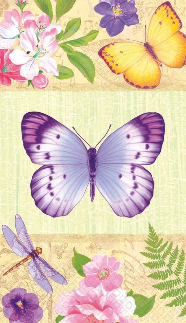 Essuie-main d'invité, dans le jardin, paq. 16 Front_Flat