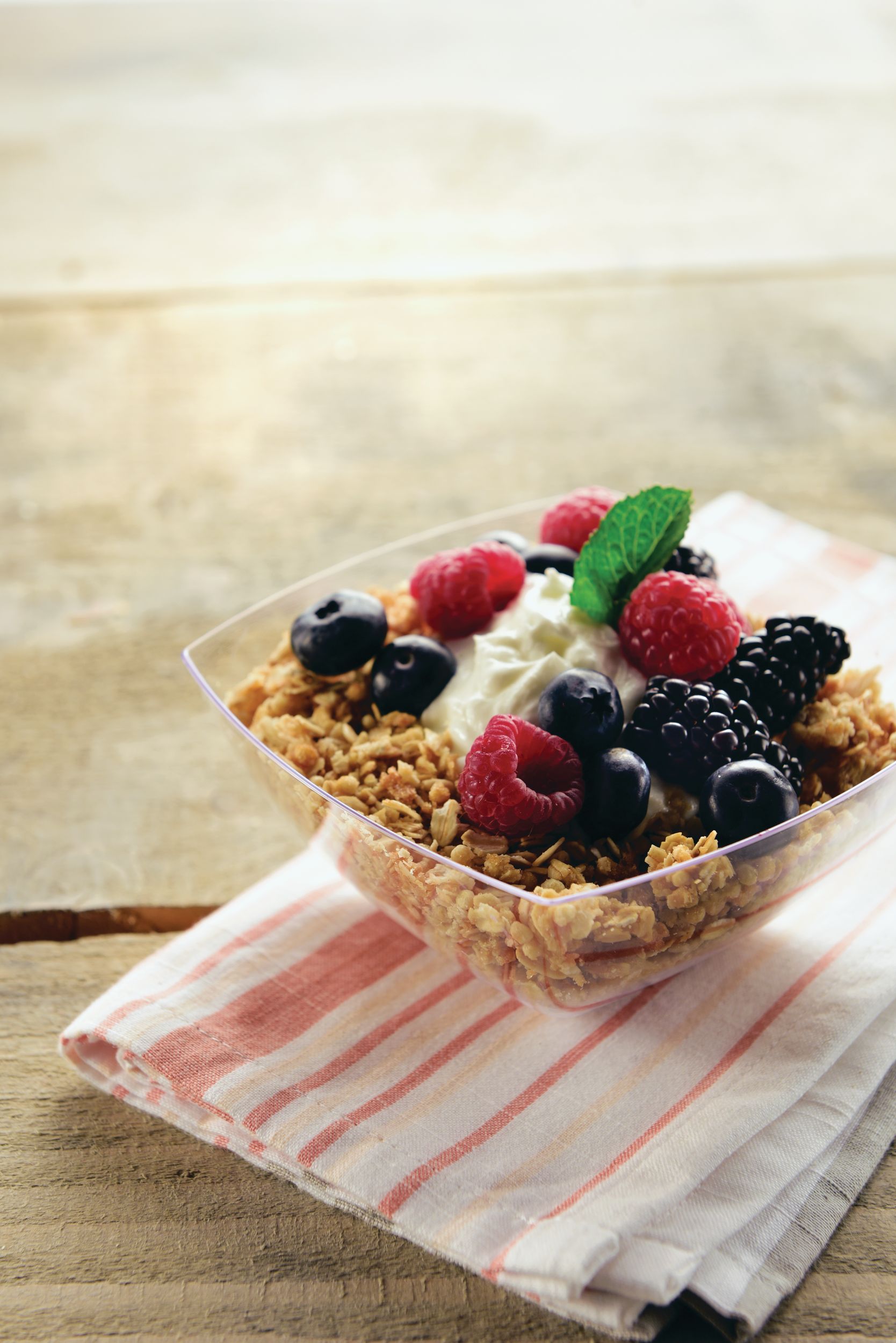 Clear Plastic Square Bowls, 10-pk Front_Three_Fourths_Angled_Left