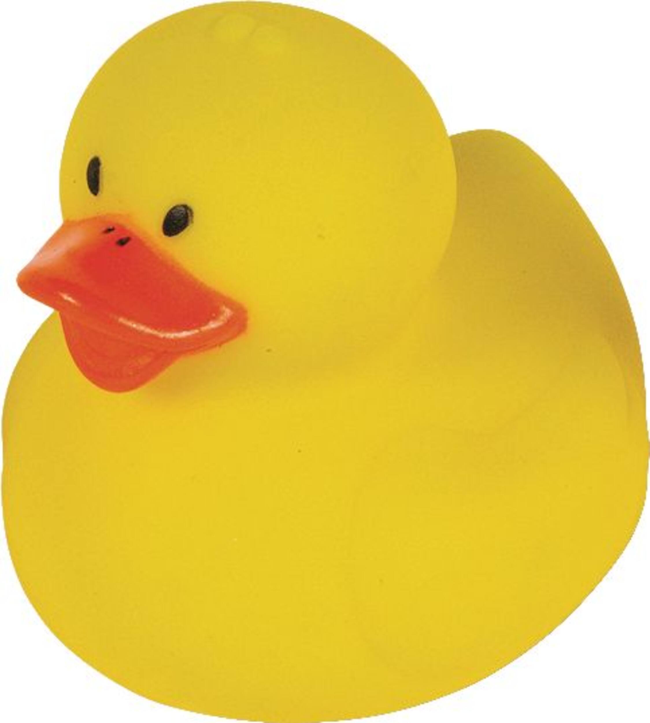 Canards en caoutchouc, paq. 16 Front_Angled_Left