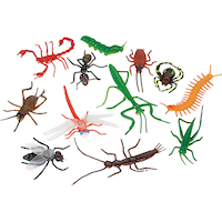 Insect Favour Pack, 12-pk Composite_or_Mixed
