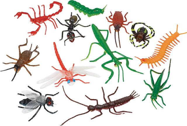 Insect Favour Pack, 12-pk Composite_or_Mixed