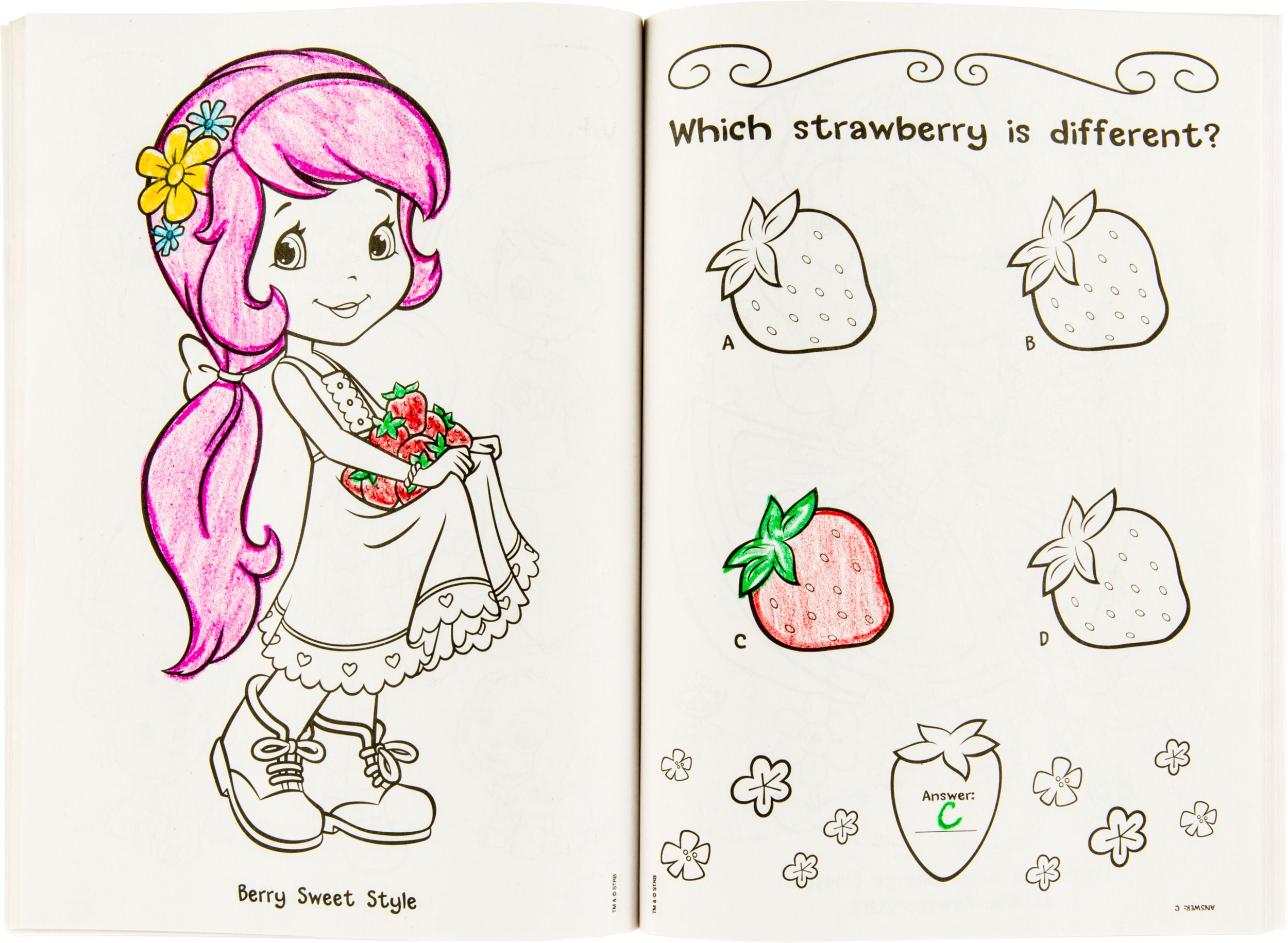 Strawberry Shortcake Colouring Activity Book Overhead_Flat