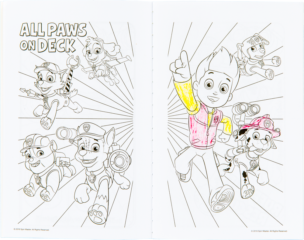 PAW Patrol Activity Kit