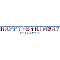 Disney  Frozen "Happy Birthday" Elsa & Anna DIY Customizable Hanging Garland Banner Decoration, Blue, 10-ft, for Birthday Party