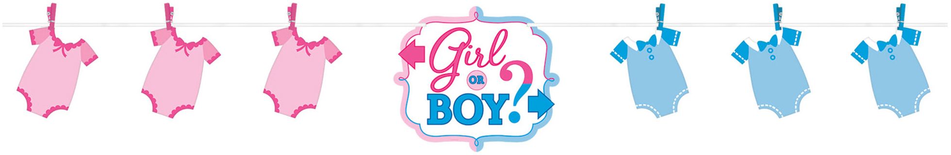 Girl or Boy Gender Reveal Banner Activity Kit Front_Flat