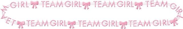 "Team Boy" or "Team Girl" Beaded Necklaces, Pink/Blue, One Size, 10-pk, Wearable Accessories for Baby Shower/Gender Reveal Front_Elevated