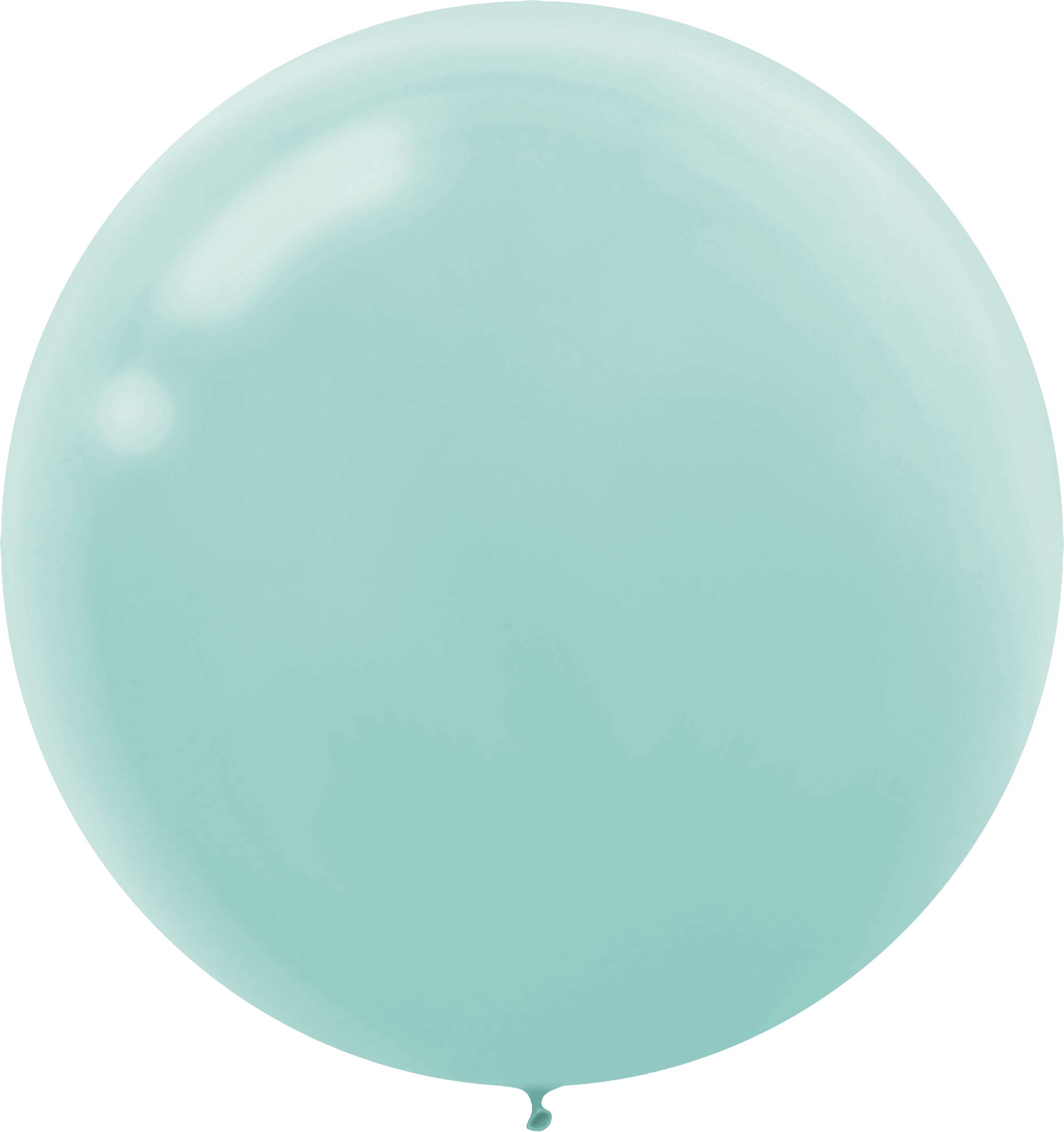 BALLN LTX PSTL 24"P4