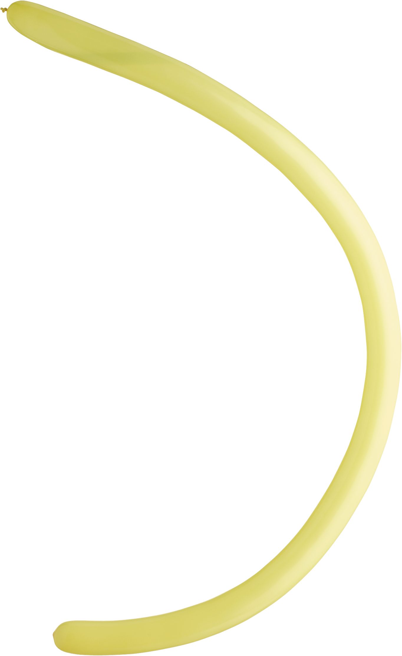 Latex Animal Twist & Shape Balloons, Multi-Coloured, 11-in, 25-pk, for Birthday Party Side_Right