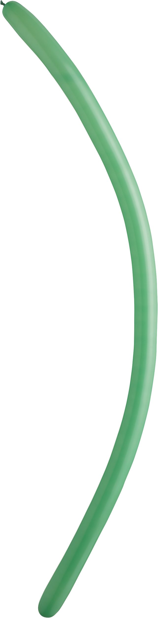 Latex Animal Twist & Shape Balloons, Multi-Coloured, 11-in, 25-pk, for Birthday Party Side_Right