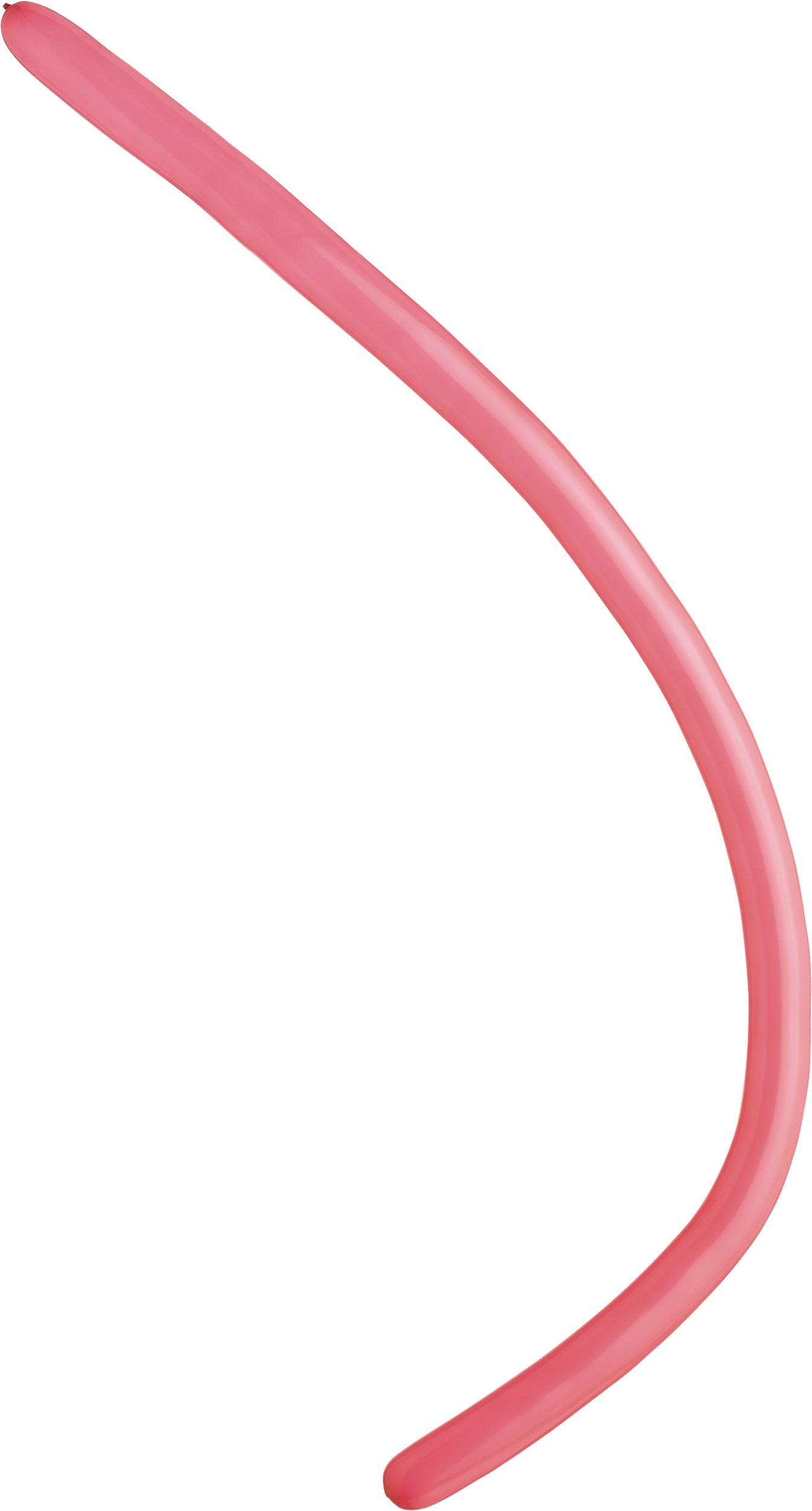 Latex Animal Twist & Shape Balloons, Multi-Coloured, 11-in, 25-pk, for Birthday Party Side_Right