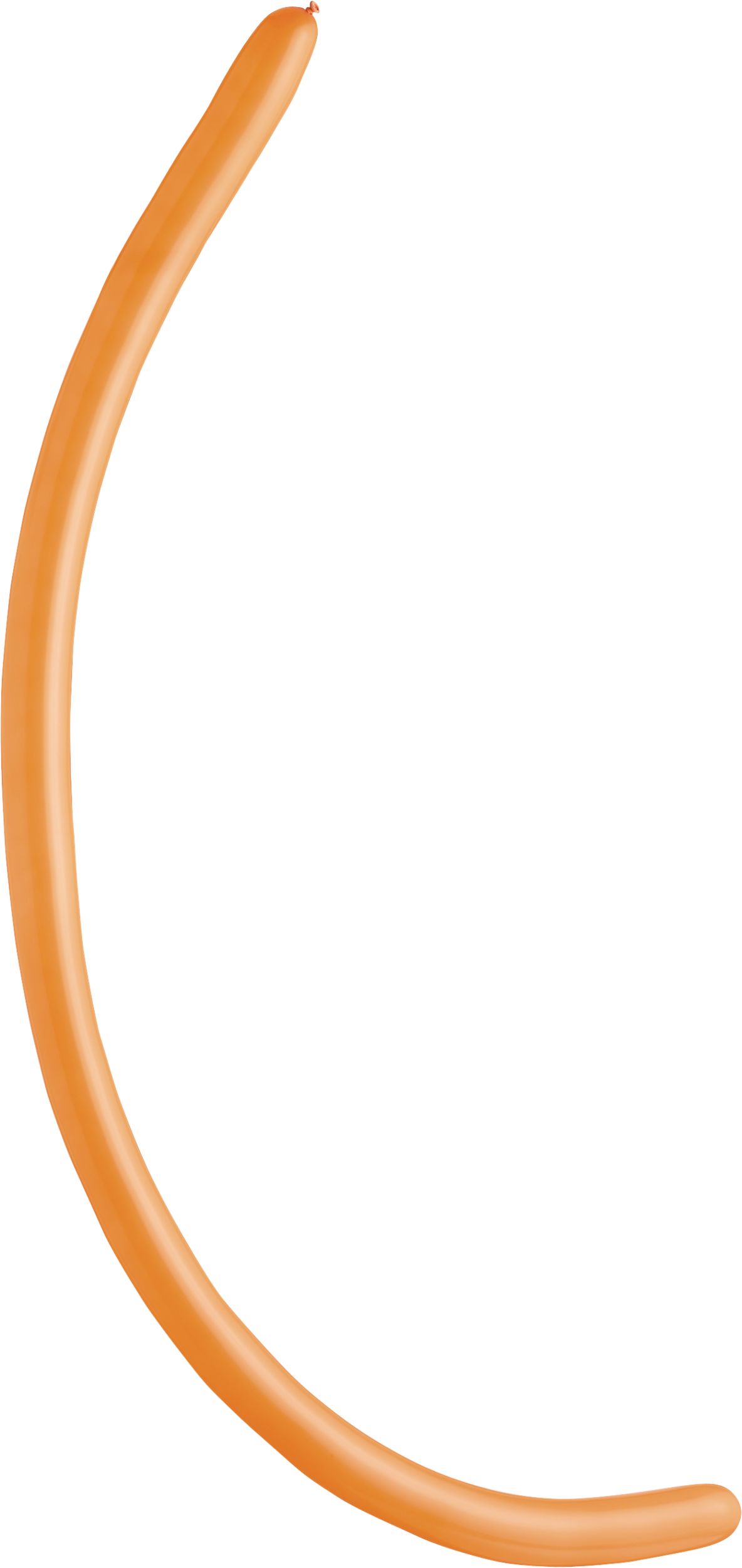 Latex Animal Twist & Shape Balloons, Multi-Coloured, 11-in, 144-pk, for Birthday Party Overhead_Flat