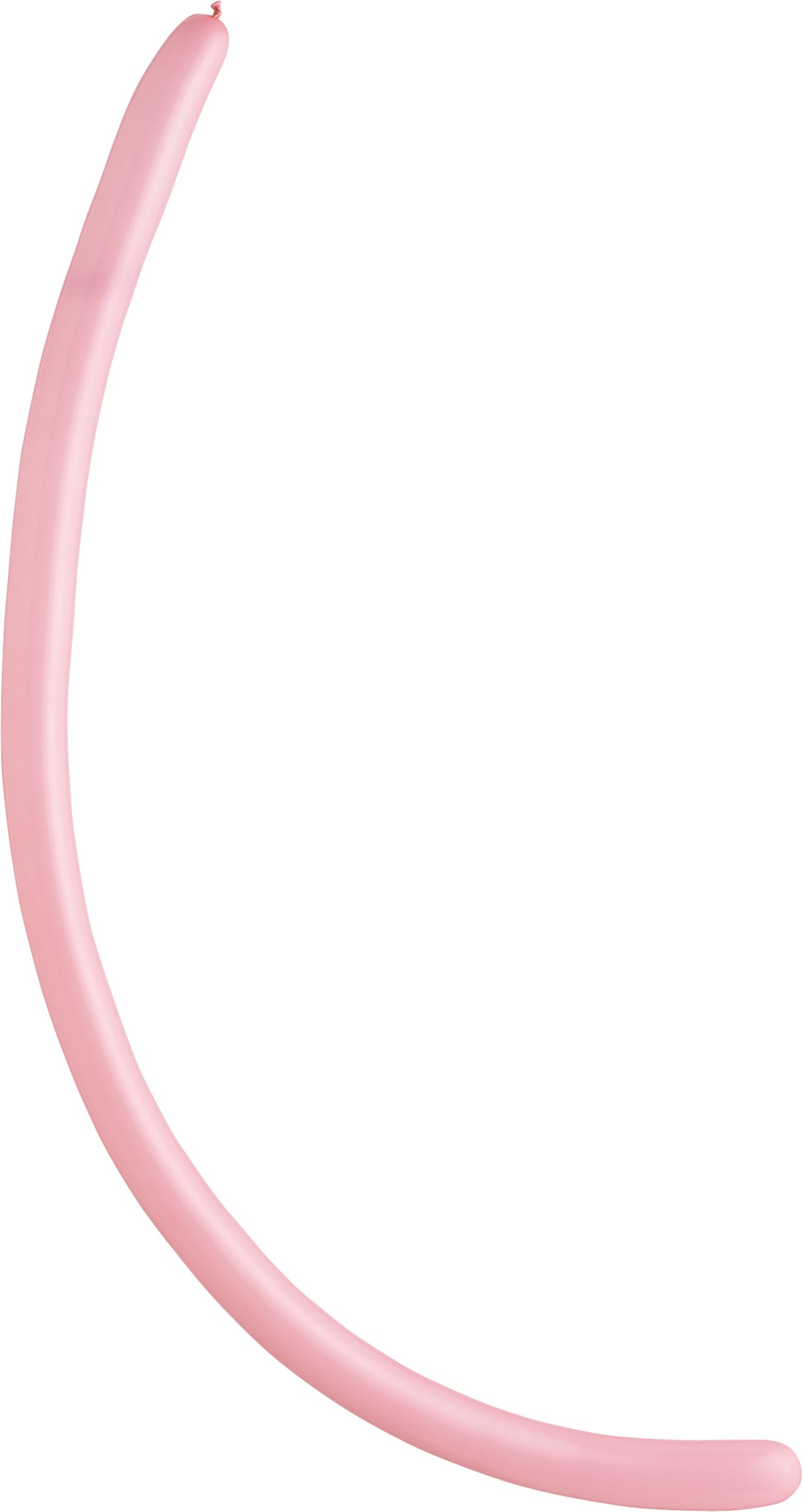 Latex Animal Twist & Shape Balloons, Multi-Coloured, 11-in, 144-pk, for Birthday Party Overhead_Flat