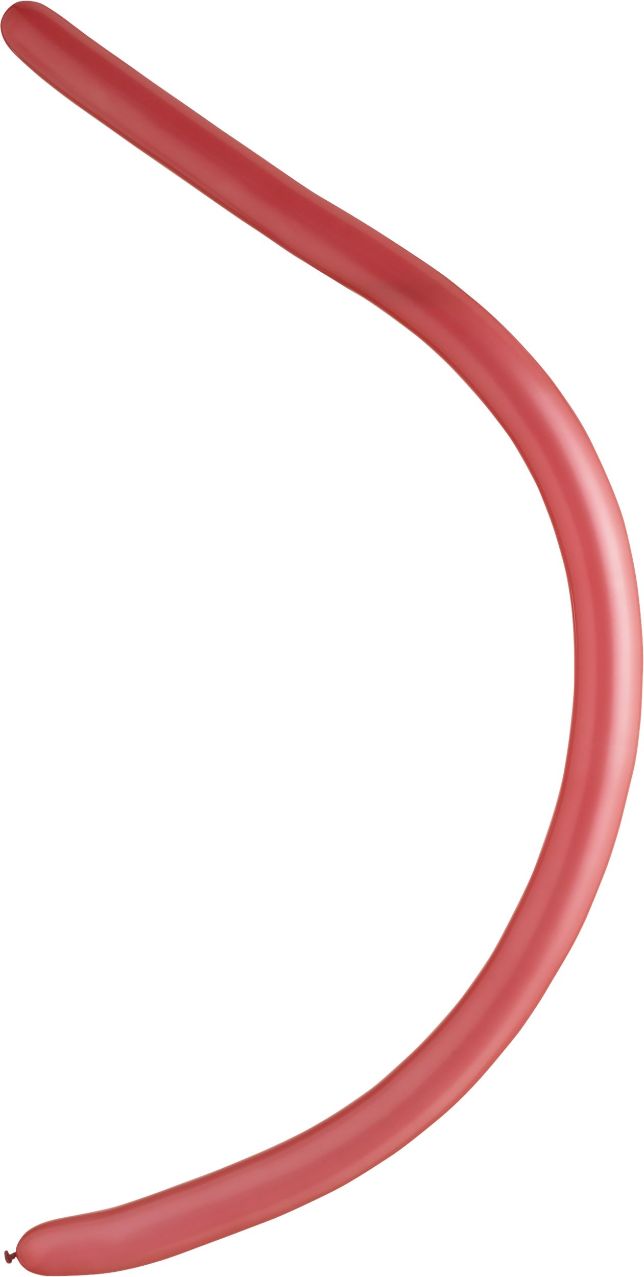 Latex Animal Twist & Shape Balloons, Multi-Coloured, 11-in, 144-pk, for Birthday Party Overhead_Flat