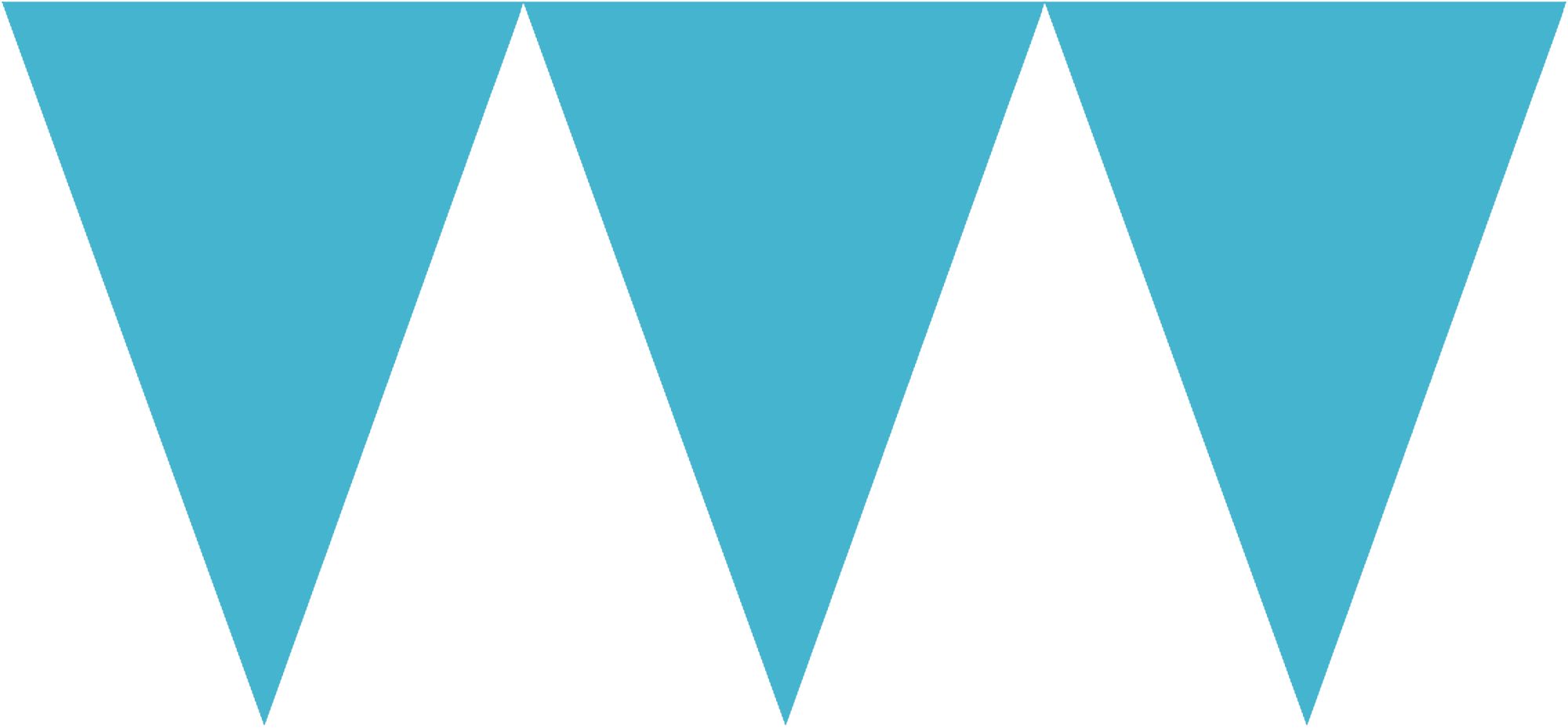 BNDRL.FANION PP BL.C