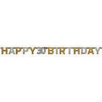 Sparkling Celebration "Happy 30th Birthday" Hanging Garland Banner Decoration, Black/Gold/Silver, Polka Dot, 7-ft, for Birthday Party Front_Flat
