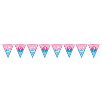 Girl or Boy Gender Reveal Pennant Banner Front_Flat