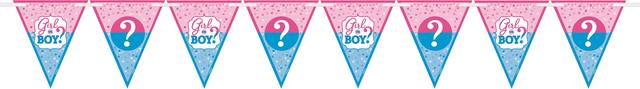 Girl or Boy Gender Reveal Pennant Banner Front_Flat