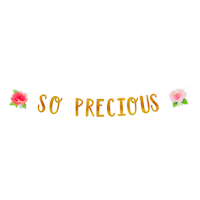 Floral Baby "So Precious" Hanging Garland Banner Decoration, Gold/Pink, 8.5-ft, 2-pk, for Baby Shower
