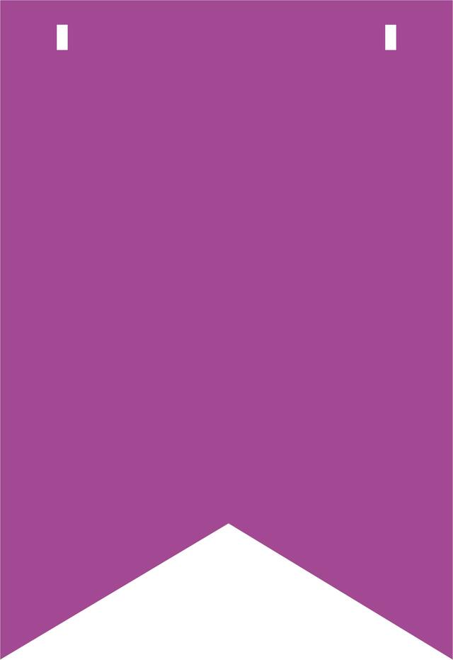 Ens. banderole à fanions personnalisable Signes des temps Front_Flat