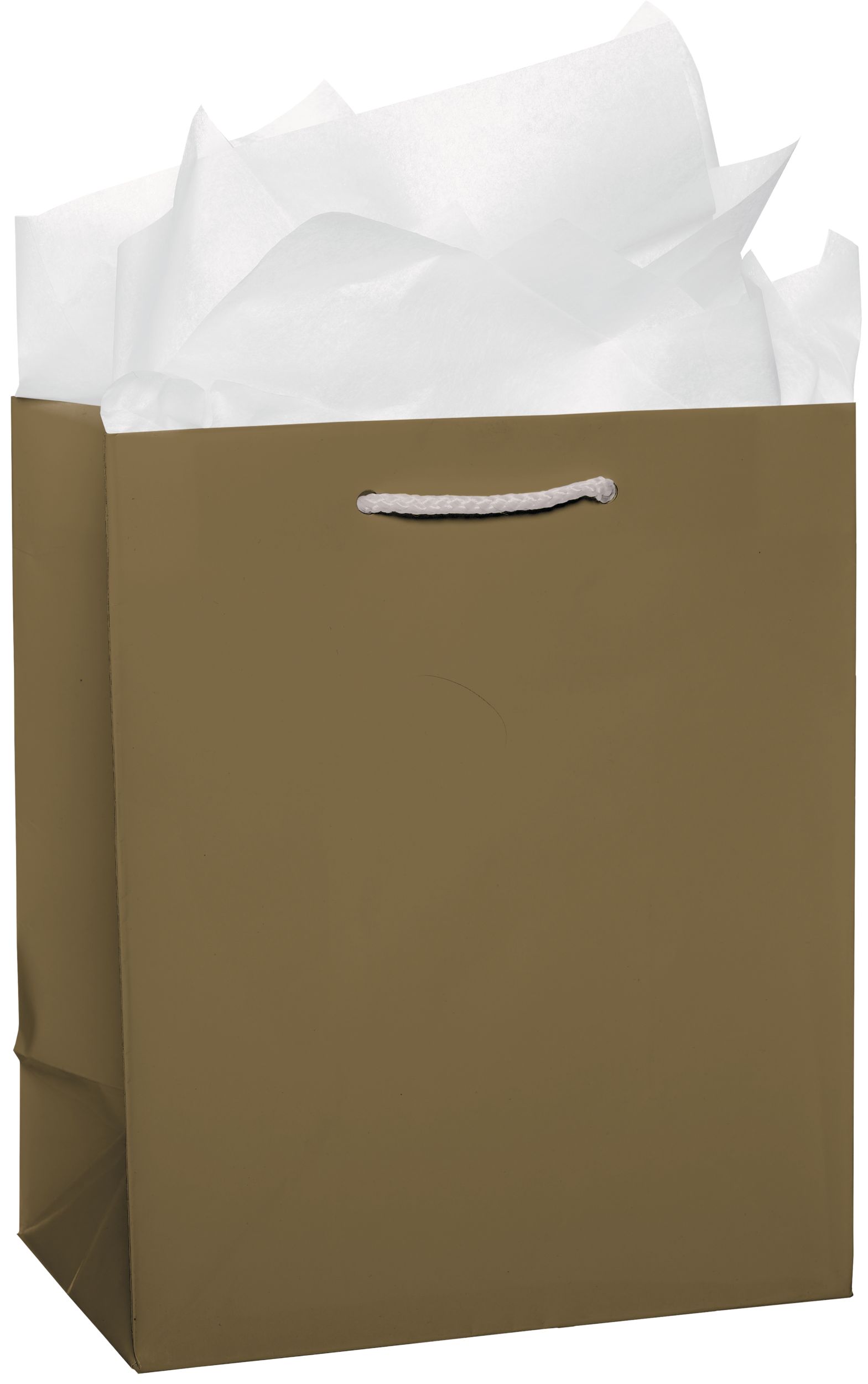 Paper Gift Bag, Gold, 9.5-in, for Birthday/Wedding/Anniversary Front_Angled_Right
