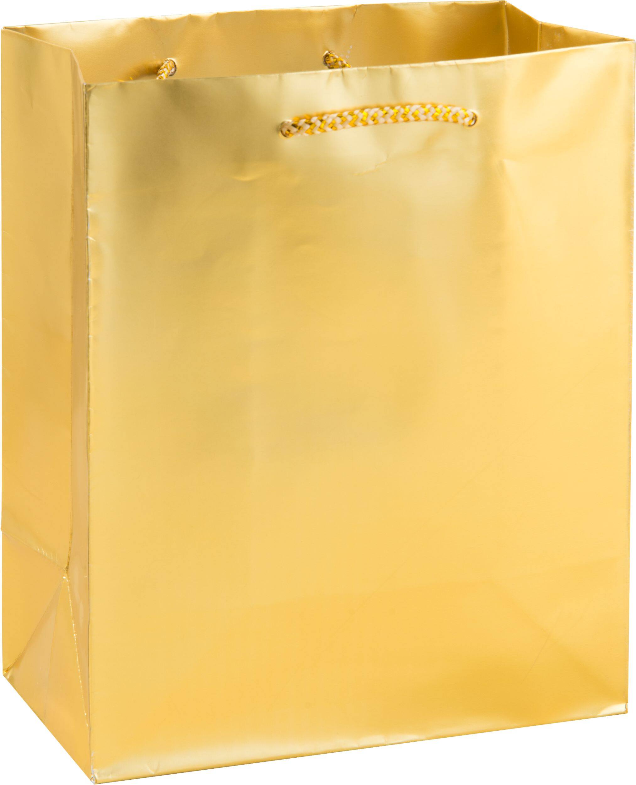 Paper Gift Bag, Gold, 9.5-in, for Birthday/Wedding/Anniversary Front_Angled_Right