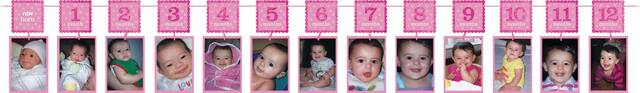 Guirlande de photos 1er&nbsp;anniversaire, rose scintillant, 12&nbsp;pi Front_Flat