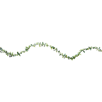 Love & Leaves Floral Hanging Wire Garland Banner Decoration, Green, 18-ft, for Wedding/Baby Shower/Bridal Shower Front_Flat