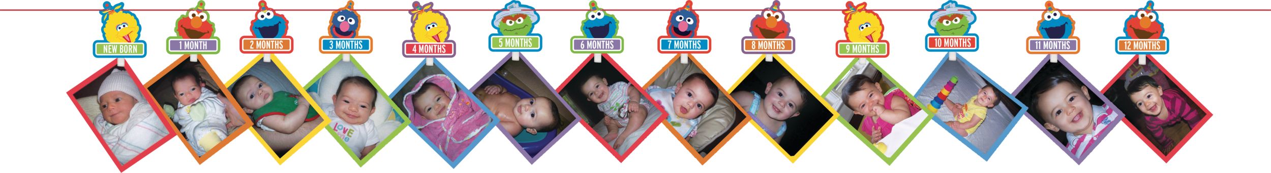 Guirlande de photos pour fête 1er anniversaire Sesame Street Elmo Front_Flat