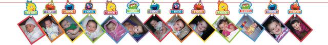 Guirlande de photos pour fête 1er anniversaire Sesame Street Elmo Front_Flat